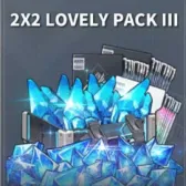 2X2 LOVELY PACKIII