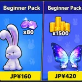 Beginner Pack x2