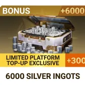 6000 Silver