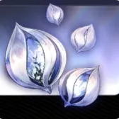 300月石晶胚