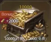 10000+2000 Bonus
