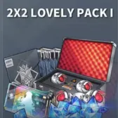 2X2 LOVELY PACKI
