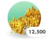 12500 gold coins