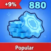 880 Medal