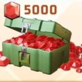 5000钻石