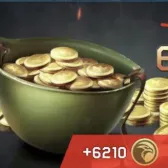 6210 Golden Eagle Coins (double the first charge)