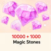 10000+1000魔法石