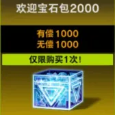 欢迎宝石包2000