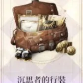 沉思着的行装(买过默认买等价楔石) 沉思着的行装(买过默认买等价楔石)
