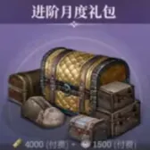 进阶月度礼包 进阶月度礼包
